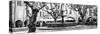 France Provence Panoramic Collection - Place aux Herbes d'Uz�B&W-Philippe Hugonnard-Stretched Canvas