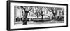 France Provence Panoramic Collection - Place aux Herbes d'Uz�B&W-Philippe Hugonnard-Framed Photographic Print
