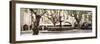 France Provence Panoramic Collection - Place aux Herbes d'Uzès-Philippe Hugonnard-Framed Photographic Print