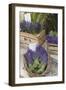 France, Provence, Sault. Bunch of Cut Lavender for Sale at a Shop-Brenda Tharp-Framed Photographic Print