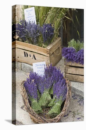 France, Provence, Sault. Bunch of Cut Lavender for Sale at a Shop-Brenda Tharp-Stretched Canvas