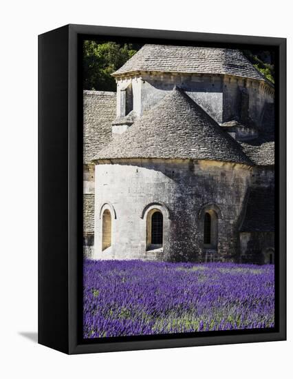 France, Provence, Seananque Abbey, Seananque Abbey with Lavender in Full Bloom-Terry Eggers-Framed Stretched Canvas