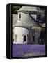 France, Provence, Seananque Abbey, Seananque Abbey with Lavender in Full Bloom-Terry Eggers-Framed Stretched Canvas