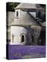 France, Provence, Seananque Abbey, Seananque Abbey with Lavender in Full Bloom-Terry Eggers-Stretched Canvas