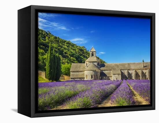 France, Provence, Senanque Abbey with Lavender in Full Bloom-Terry Eggers-Framed Stretched Canvas