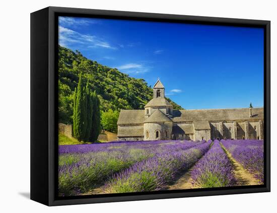 France, Provence, Senanque Abbey with Lavender in Full Bloom-Terry Eggers-Framed Stretched Canvas