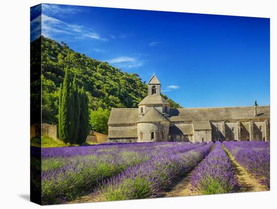 France, Provence, Senanque Abbey with Lavender in Full Bloom-Terry Eggers-Stretched Canvas