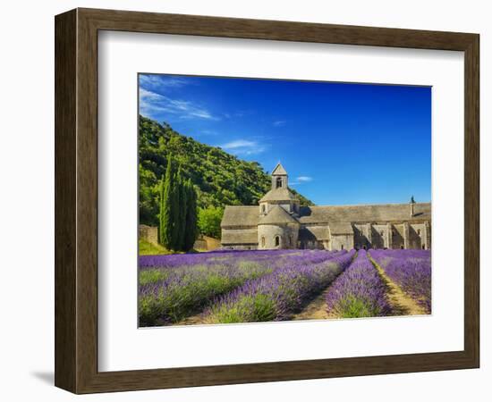 France, Provence, Senanque Abbey with Lavender in Full Bloom-Terry Eggers-Framed Photographic Print