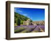 France, Provence, Senanque Abbey with Lavender in Full Bloom-Terry Eggers-Framed Photographic Print