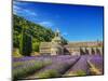 France, Provence, Senanque Abbey with Lavender in Full Bloom-Terry Eggers-Mounted Photographic Print