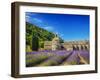 France, Provence, Senanque Abbey with Lavender in Full Bloom-Terry Eggers-Framed Photographic Print