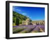 France, Provence, Senanque Abbey with Lavender in Full Bloom-Terry Eggers-Framed Photographic Print