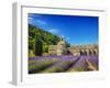 France, Provence, Senanque Abbey with Lavender in Full Bloom-Terry Eggers-Framed Photographic Print