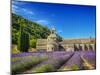 France, Provence, Senanque Abbey with Lavender in Full Bloom-Terry Eggers-Mounted Photographic Print