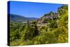 France, Provence, Vaucluse, Bonnieux, View of the Village-Udo Siebig-Stretched Canvas