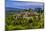 France, Provence, Vaucluse, Bonnieux, View of the Village-Udo Siebig-Mounted Photographic Print