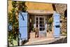 France, Provence, Vaucluse, Goult, House Facade, Door-Udo Siebig-Mounted Photographic Print