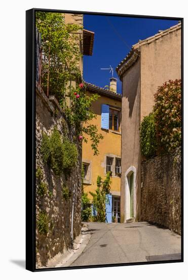 France, Provence, Vaucluse, Goult, Old Town Alley, Overgrown Facade-Udo Siebig-Framed Stretched Canvas