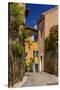 France, Provence, Vaucluse, Goult, Old Town Alley, Overgrown Facade-Udo Siebig-Stretched Canvas