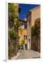 France, Provence, Vaucluse, Goult, Old Town Alley, Overgrown Facade-Udo Siebig-Framed Photographic Print