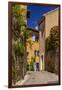 France, Provence, Vaucluse, Goult, Old Town Alley, Overgrown Facade-Udo Siebig-Framed Photographic Print