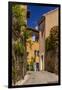 France, Provence, Vaucluse, Goult, Old Town Alley, Overgrown Facade-Udo Siebig-Framed Photographic Print