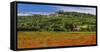 France, Provence, Vaucluse, Lacoste, Poppy Field with View of the Village-Udo Siebig-Framed Stretched Canvas