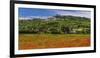 France, Provence, Vaucluse, Lacoste, Poppy Field with View of the Village-Udo Siebig-Framed Photographic Print