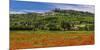 France, Provence, Vaucluse, Lacoste, Poppy Field with View of the Village-Udo Siebig-Mounted Photographic Print