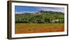 France, Provence, Vaucluse, Lacoste, Poppy Field with View of the Village-Udo Siebig-Framed Photographic Print