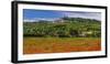 France, Provence, Vaucluse, Lacoste, Poppy Field with View of the Village-Udo Siebig-Framed Photographic Print