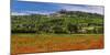 France, Provence, Vaucluse, Lacoste, Poppy Field with View of the Village-Udo Siebig-Mounted Photographic Print