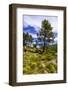 France, Provence, Vaucluse, MŽnerbes, Trail Near Abbaye De Saint-Hilaire-Udo Siebig-Framed Photographic Print