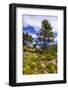 France, Provence, Vaucluse, MŽnerbes, Trail Near Abbaye De Saint-Hilaire-Udo Siebig-Framed Photographic Print