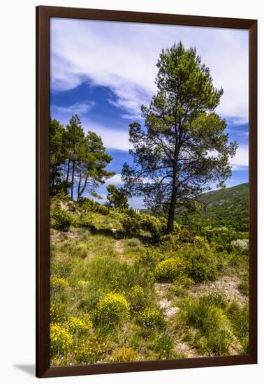 France, Provence, Vaucluse, MŽnerbes, Trail Near Abbaye De Saint-Hilaire-Udo Siebig-Framed Photographic Print