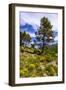 France, Provence, Vaucluse, MŽnerbes, Trail Near Abbaye De Saint-Hilaire-Udo Siebig-Framed Photographic Print