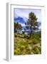 France, Provence, Vaucluse, MŽnerbes, Trail Near Abbaye De Saint-Hilaire-Udo Siebig-Framed Photographic Print