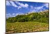 France, Provence, Vaucluse, MŽnerbes, View of the Village with Vineyard-Udo Siebig-Mounted Photographic Print