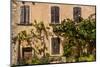 France, Provence, Vaucluse, Opp?de-Le-Vieux, Architecture Detail-Udo Siebig-Mounted Photographic Print