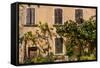 France, Provence, Vaucluse, Opp?de-Le-Vieux, Architecture Detail-Udo Siebig-Framed Stretched Canvas