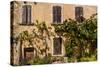 France, Provence, Vaucluse, Opp?de-Le-Vieux, Architecture Detail-Udo Siebig-Stretched Canvas