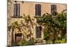 France, Provence, Vaucluse, Opp?de-Le-Vieux, Architecture Detail-Udo Siebig-Mounted Photographic Print