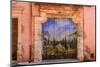 France, Provence, Vaucluse, Roussillon, Old Town, House Facade, House Gate, Mural Painting-Udo Siebig-Mounted Photographic Print