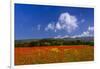 France, Provence, Vaucluse, Roussillon, Poppy Field Against Monts De Vaucluse-Udo Siebig-Framed Premium Photographic Print