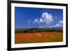 France, Provence, Vaucluse, Roussillon, Poppy Field Against Monts De Vaucluse-Udo Siebig-Framed Photographic Print