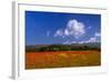 France, Provence, Vaucluse, Roussillon, Poppy Field Against Monts De Vaucluse-Udo Siebig-Framed Photographic Print