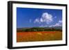 France, Provence, Vaucluse, Roussillon, Poppy Field Against Monts De Vaucluse-Udo Siebig-Framed Photographic Print