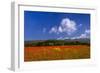 France, Provence, Vaucluse, Roussillon, Poppy Field Against Monts De Vaucluse-Udo Siebig-Framed Photographic Print