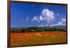 France, Provence, Vaucluse, Roussillon, Poppy Field Against Monts De Vaucluse-Udo Siebig-Framed Photographic Print