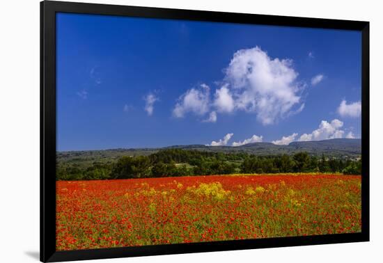 France, Provence, Vaucluse, Roussillon, Poppy Field Against Monts De Vaucluse-Udo Siebig-Framed Photographic Print